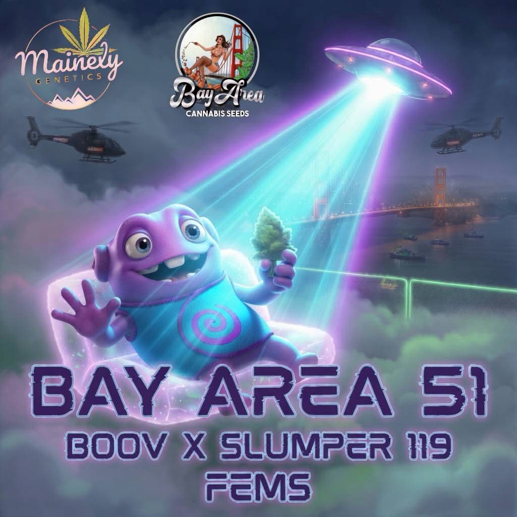 BAY AREA 51 (last pks)