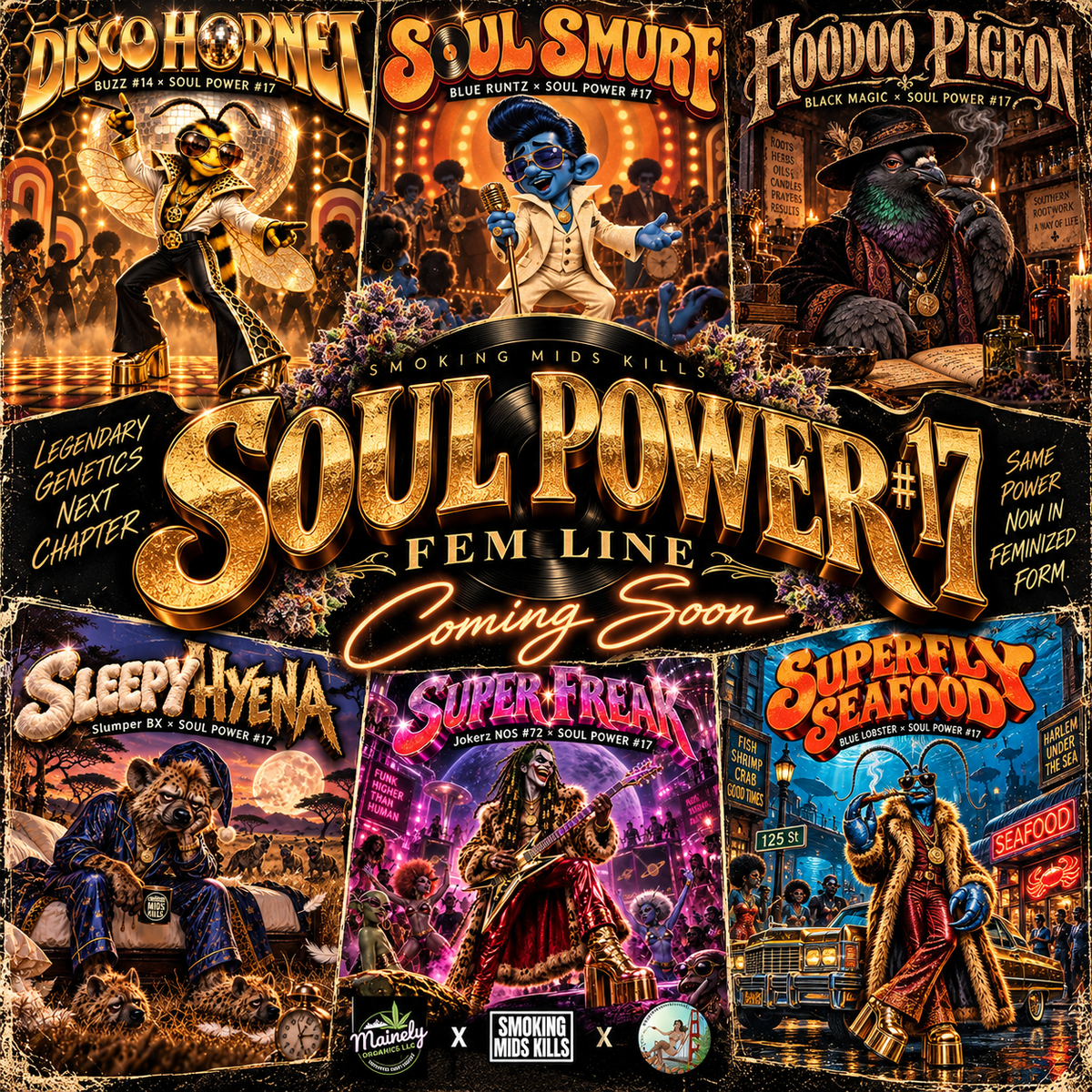 Soul Power #17 (whole line)