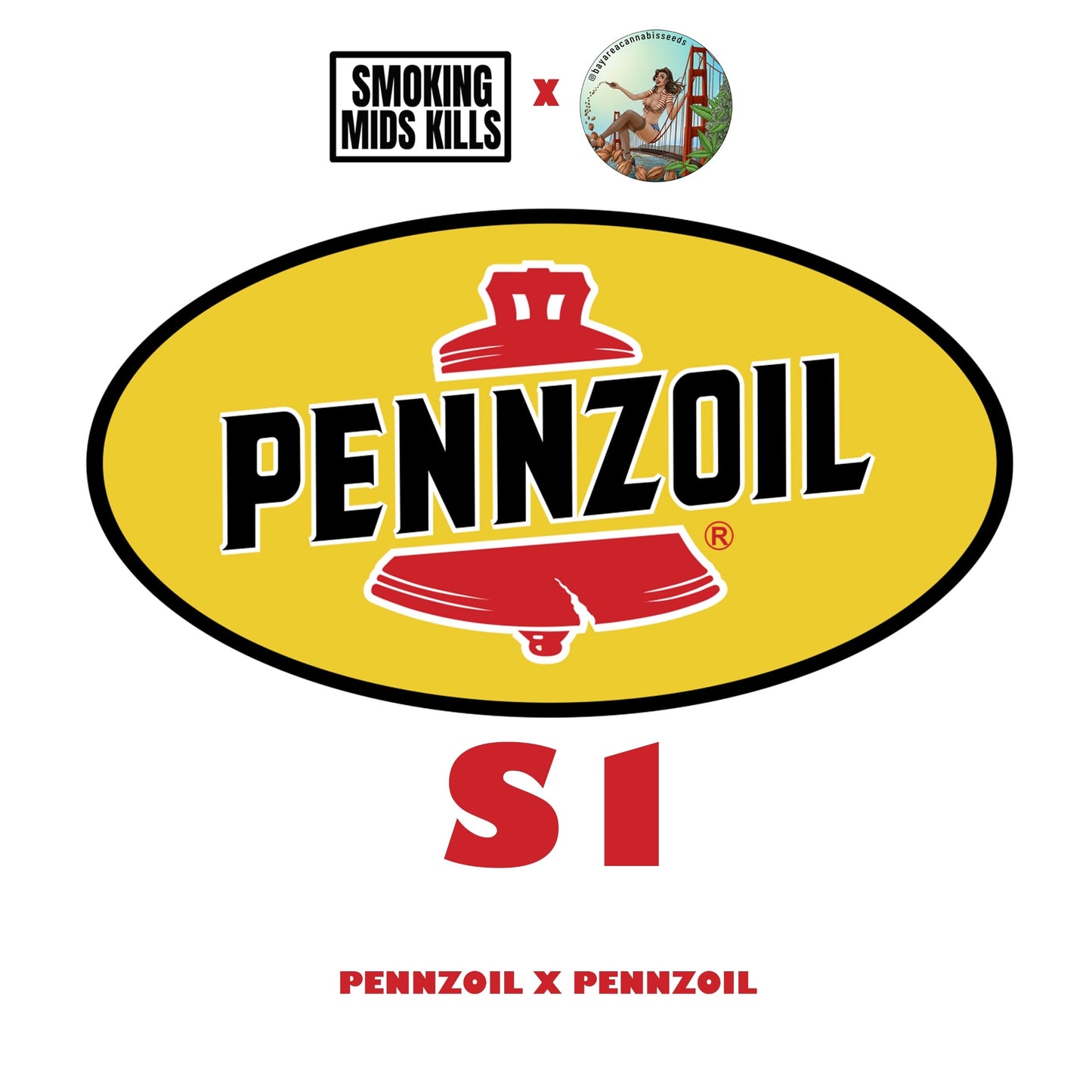 Pennzoil S1