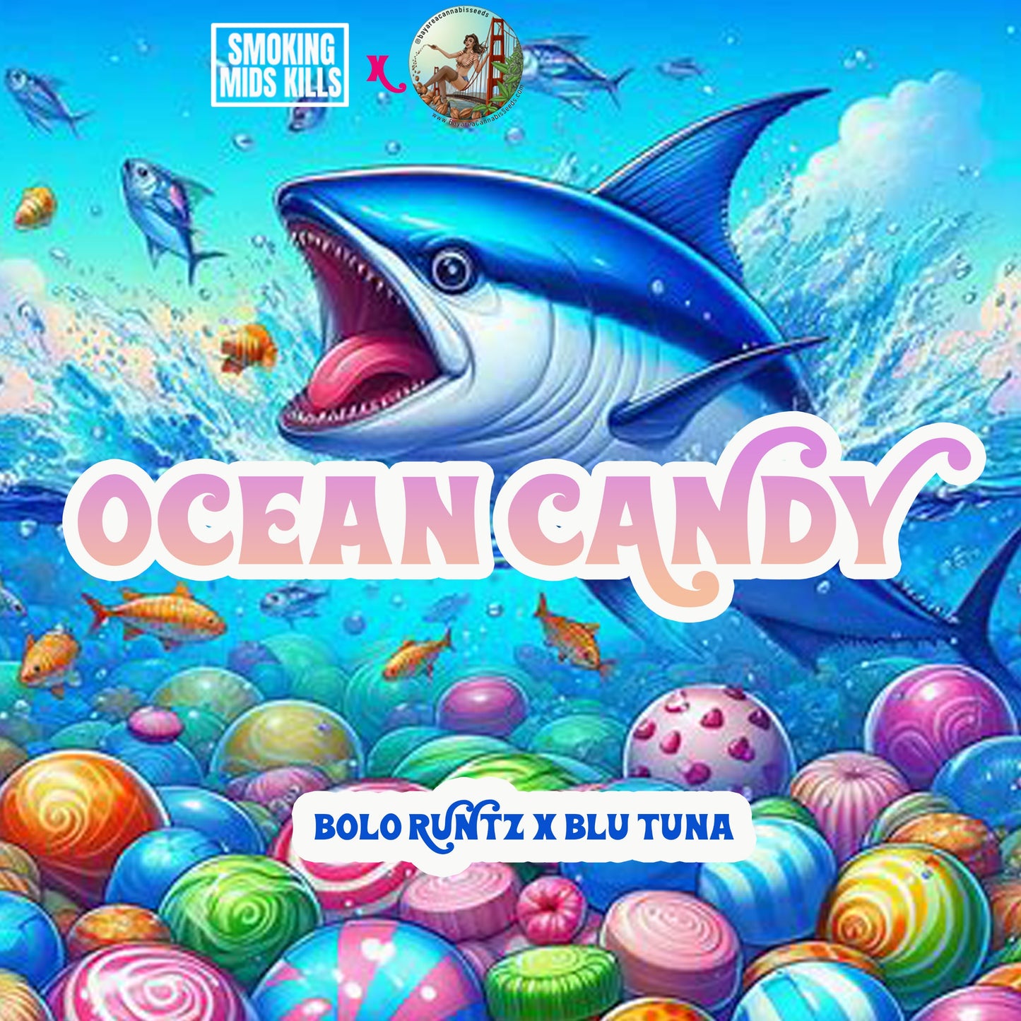 OCEAN CANDY