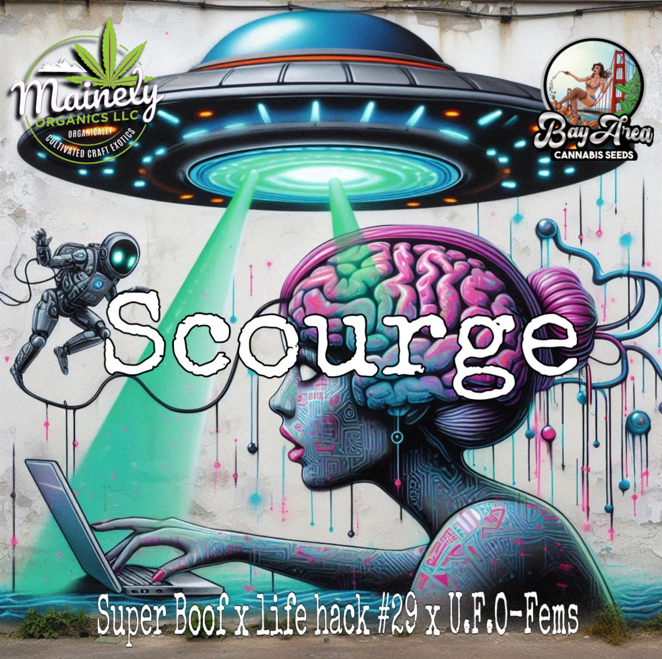 Scourge