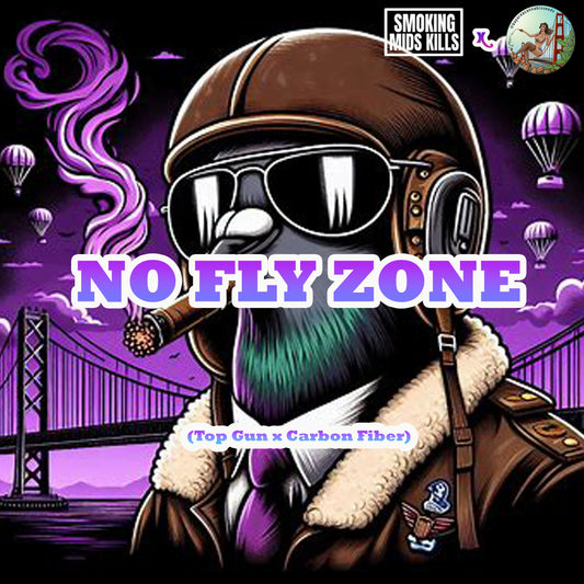 NO FLY ZONE