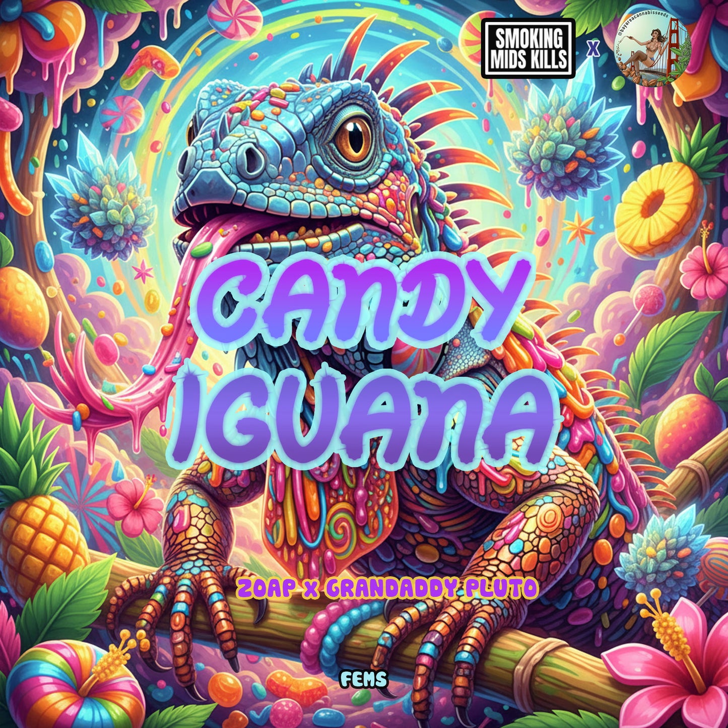 Candy Iguana