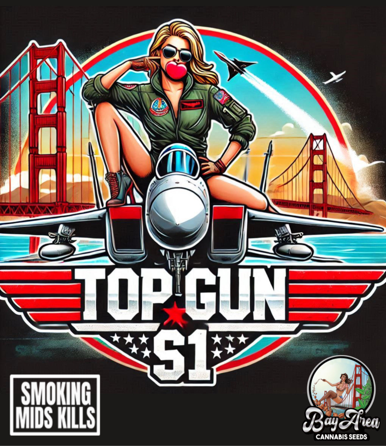 Top Gun S1 (vault pk)