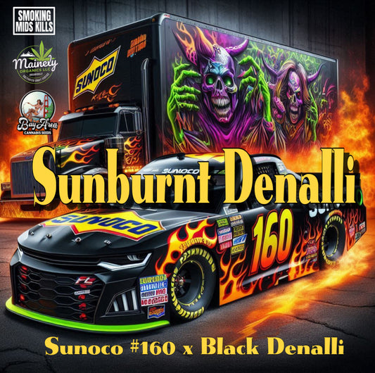 SUNBURNT DENALLI