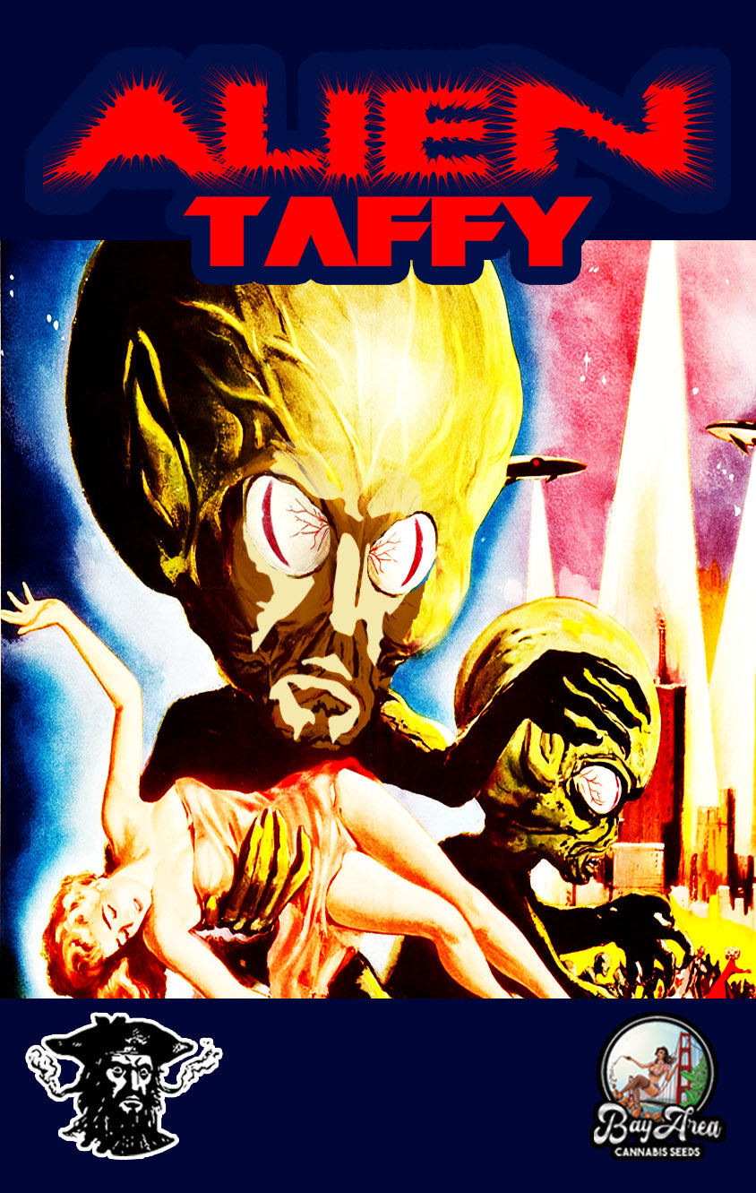 ALIEN TAFFY 6pk