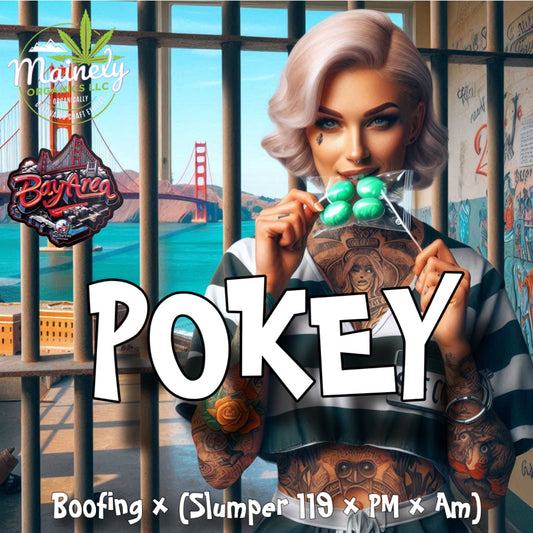 POKEY