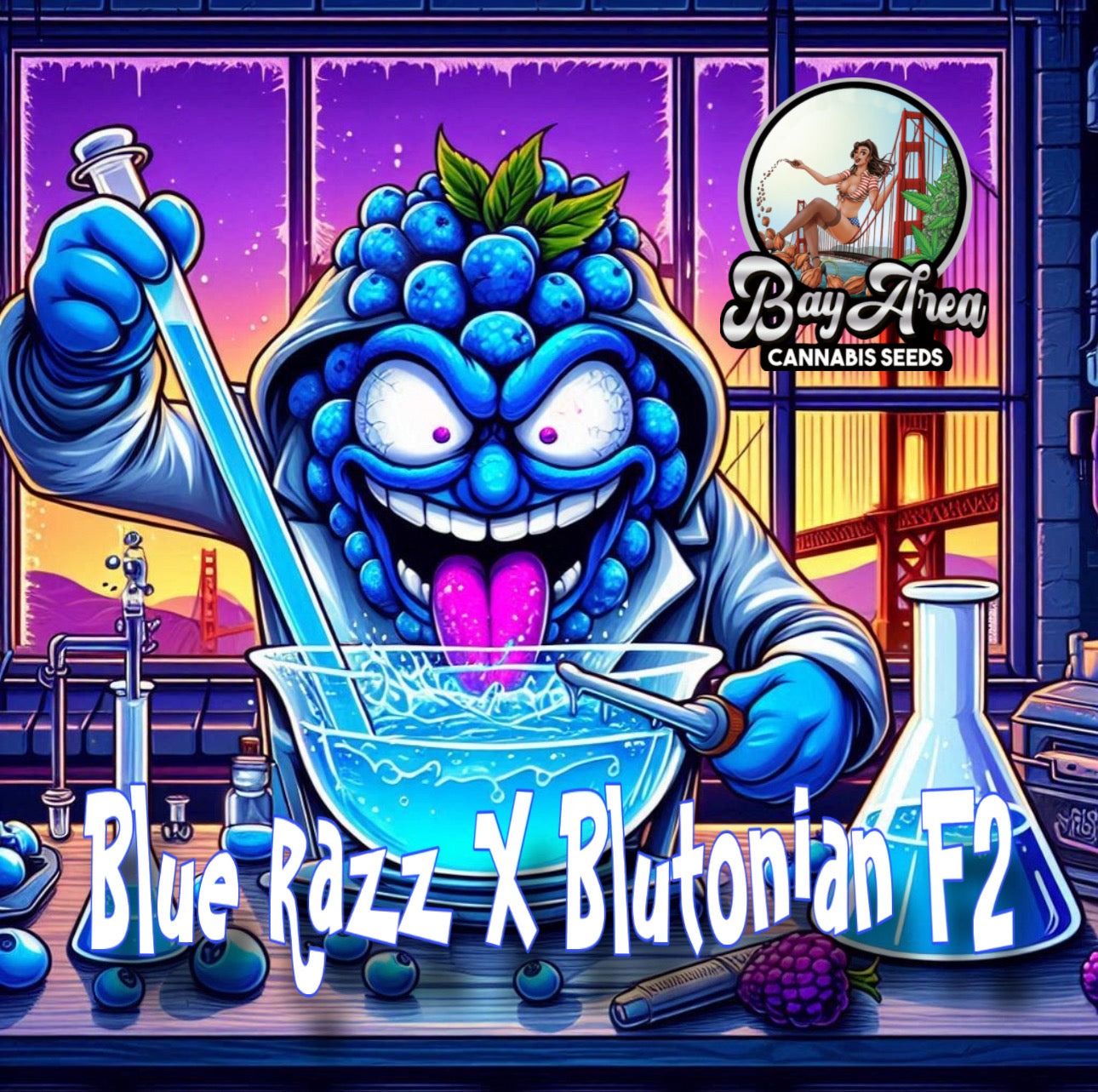 Blue Razz x Blutonian F2 (Bulk 100 ct pk)