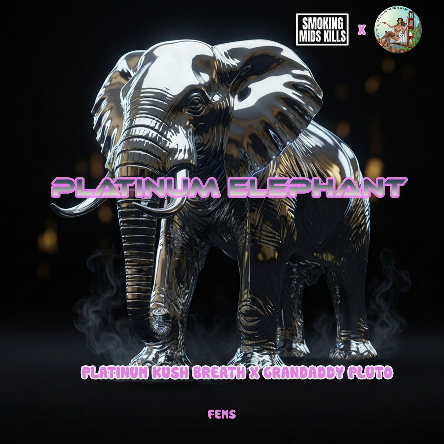 Platinum Elephant 🐘