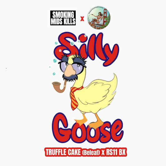 SILLY GOOSE