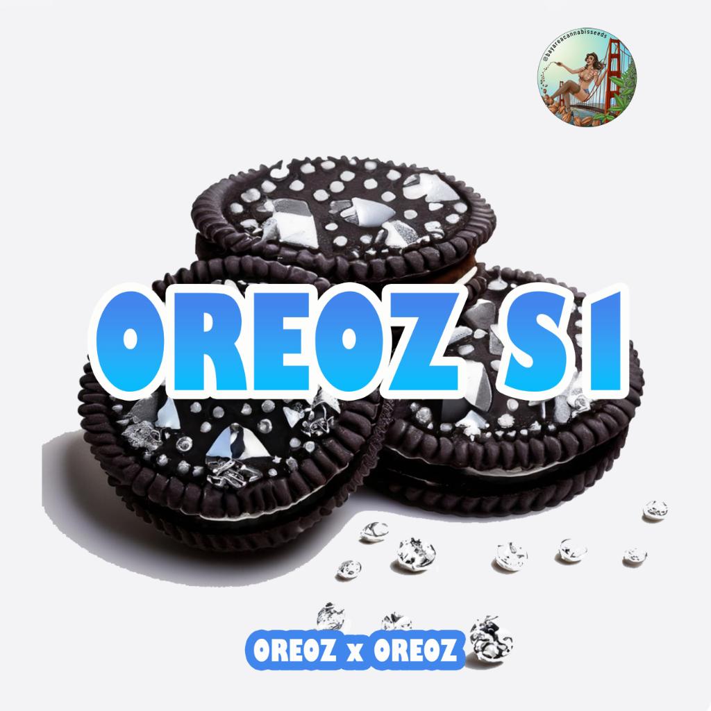Oreoz S1