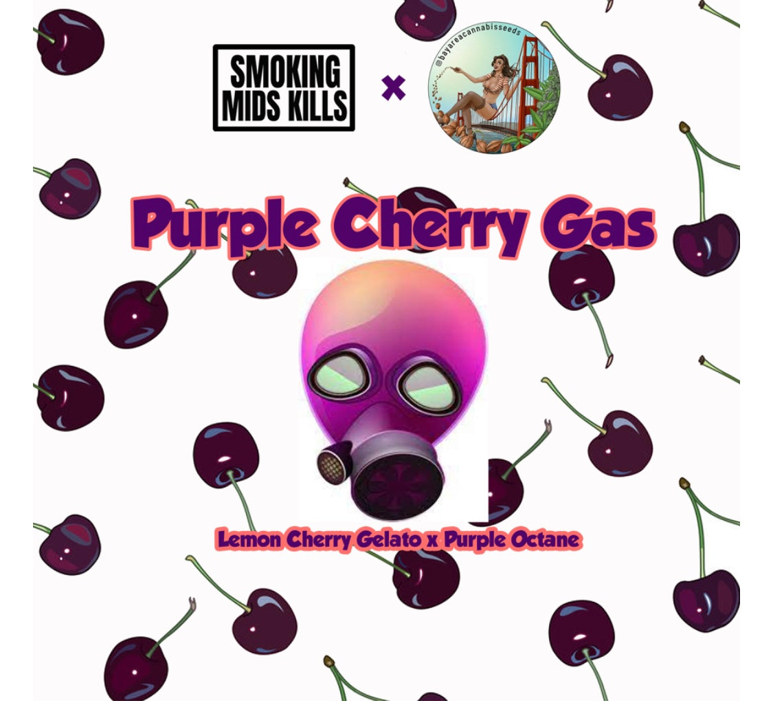 PURPLE CHERRY GAS (vault pk)