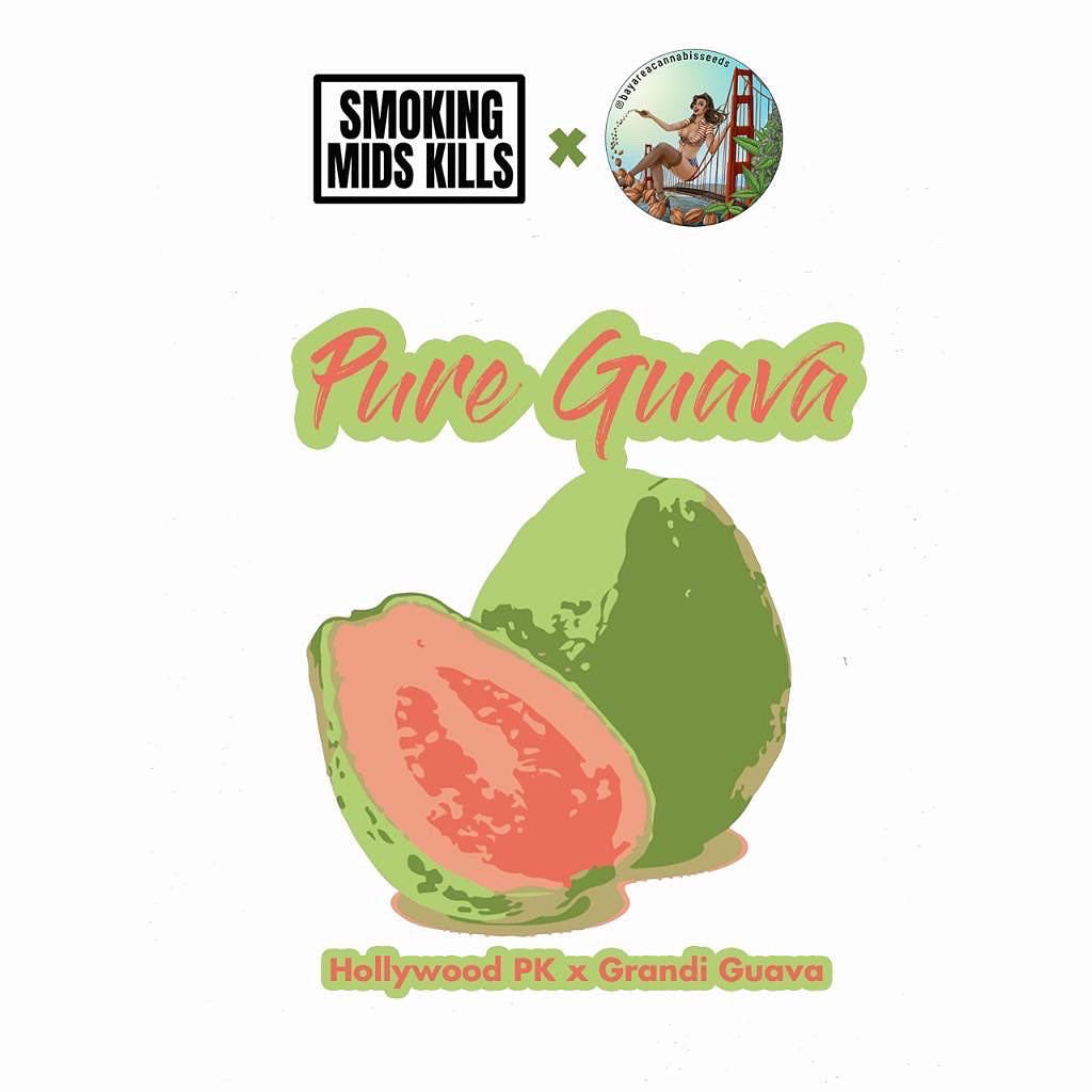 Pure Guava