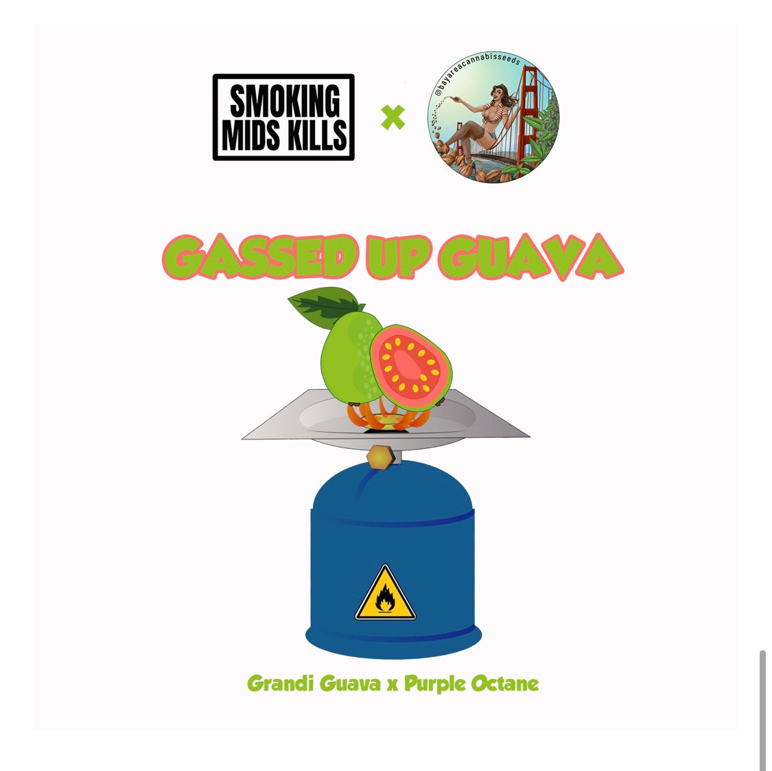 GASSED UP GUAVA (Vault Drop)