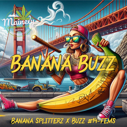 Banana Buzz