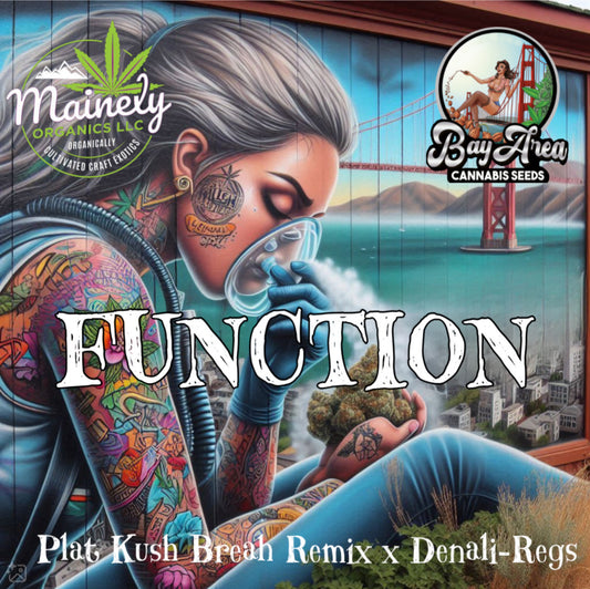 Function