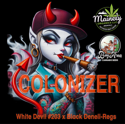 Colonizer