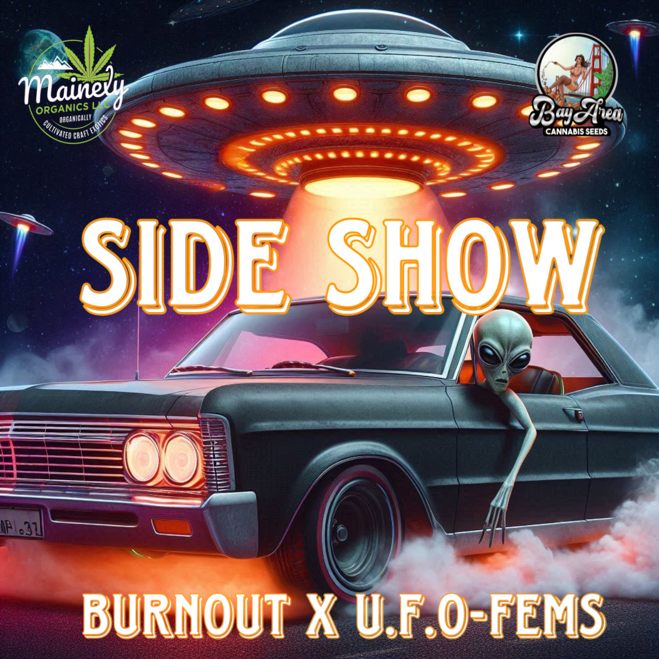 Side Show (vault pk)