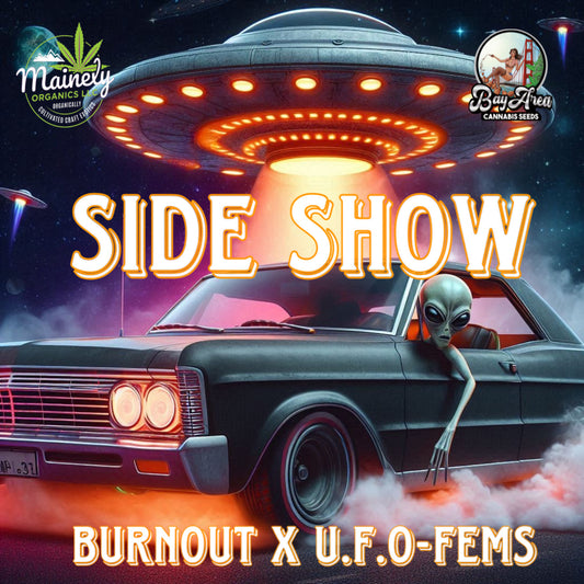 Side Show (vault pk)