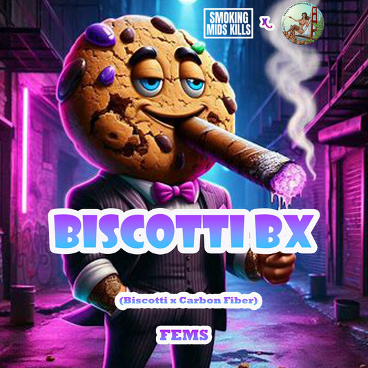 BISCOTTI BX-fems (sold out vault pack)