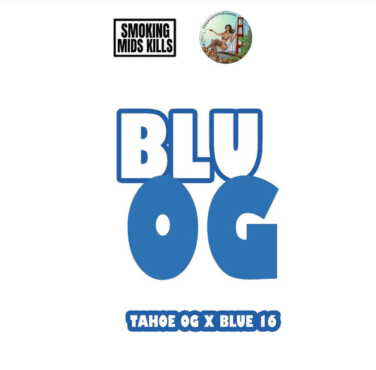 Blu OG