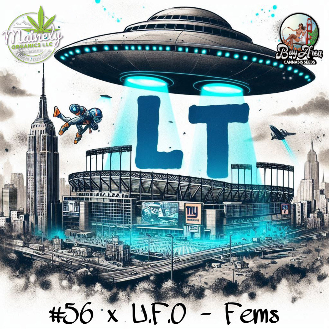 L.T  (Lawrence Taylor)