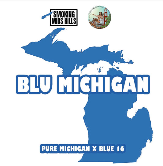 Blue Michigan