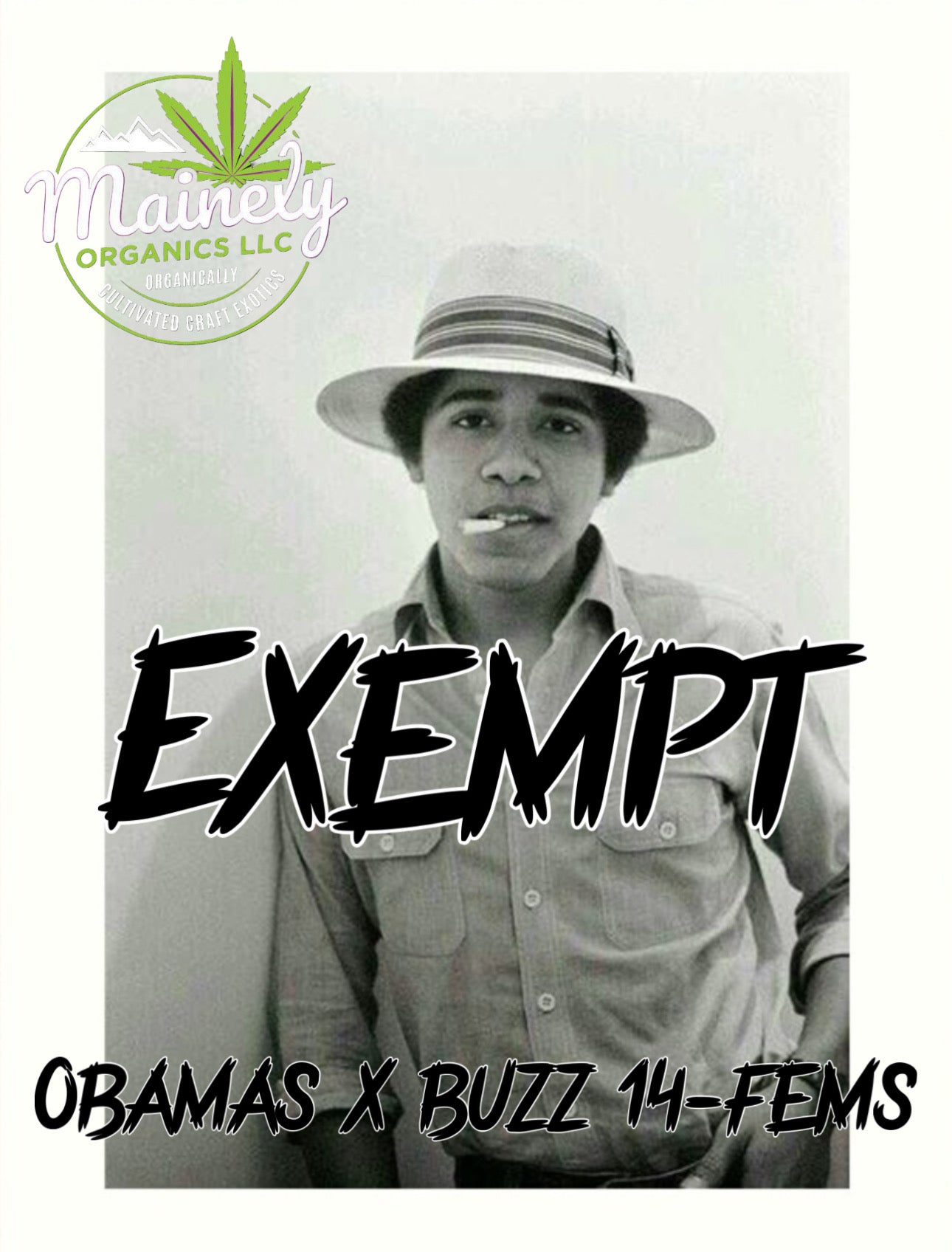 Exempt