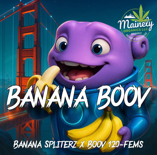 BANANA BOOV