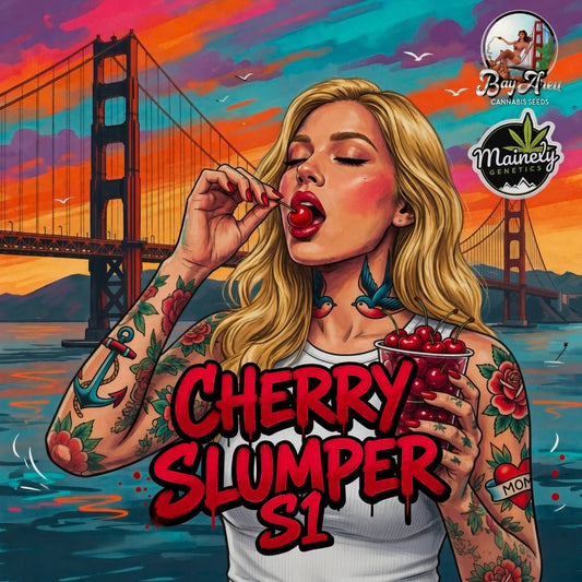 Cherry Slumper S1