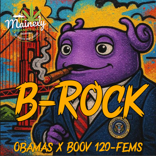 B-Rock