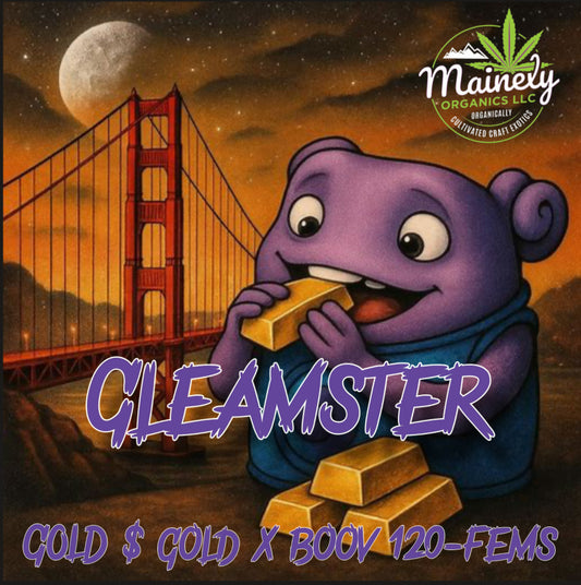 Gleamster