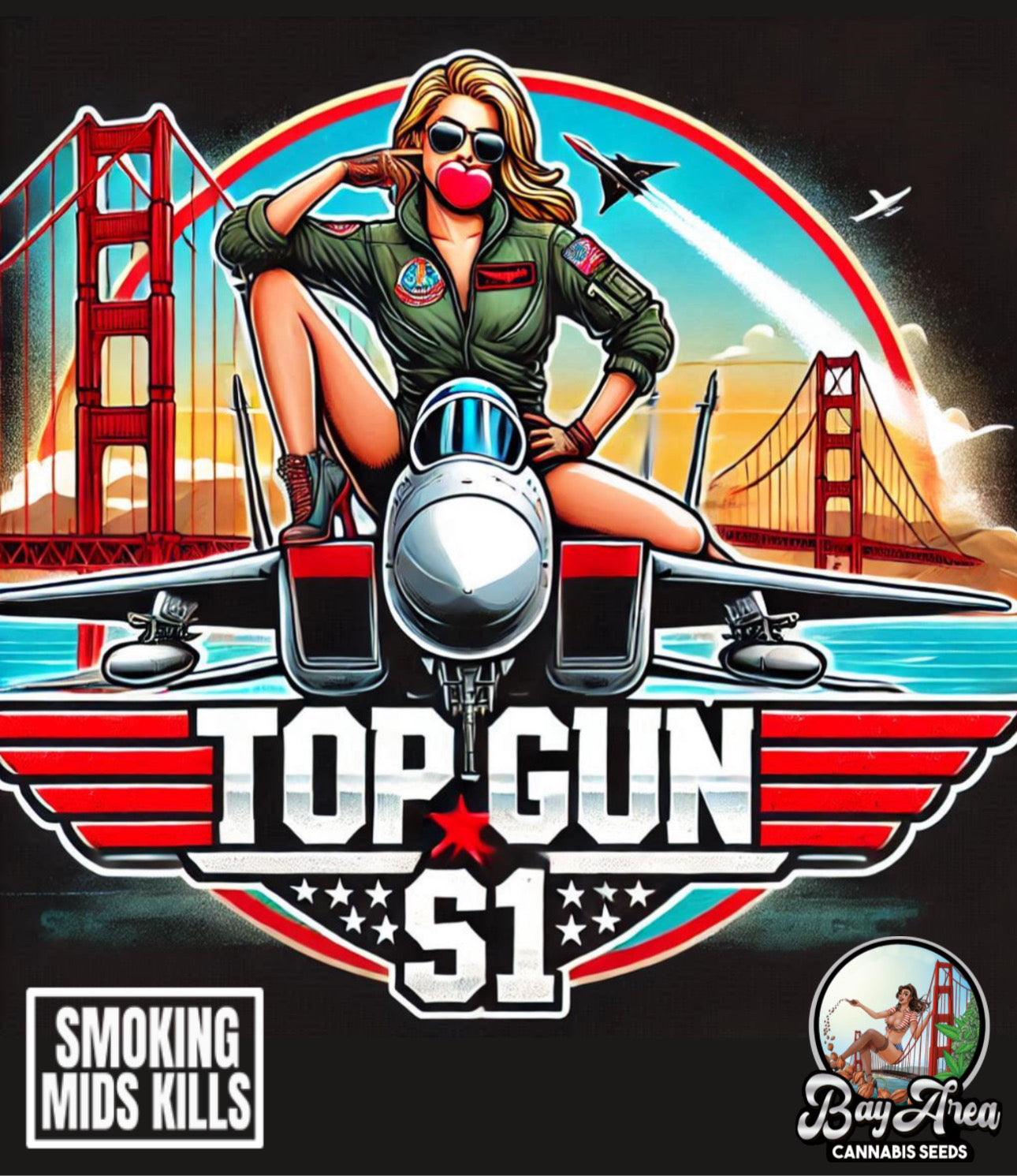 Top Gun S1