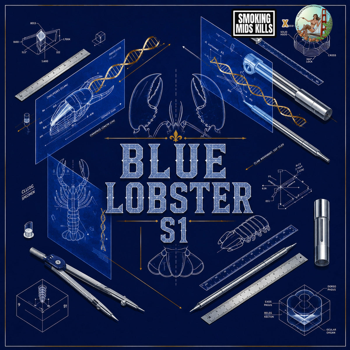 Blue Lobster S1