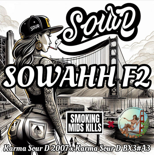 SOWAHH F2   (Sour D)
