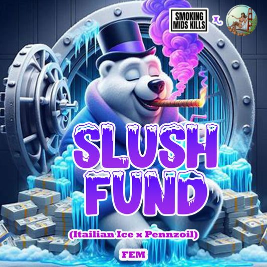 Slush Fund