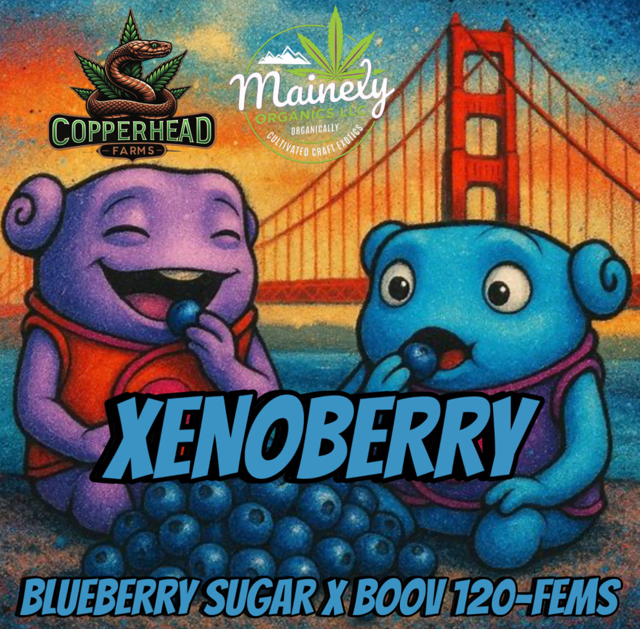 Xenoberry