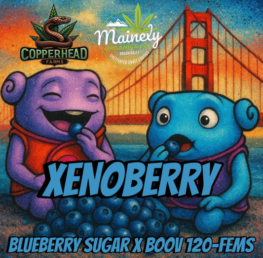 Xenoberry