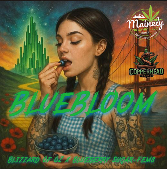 BlueBloom
