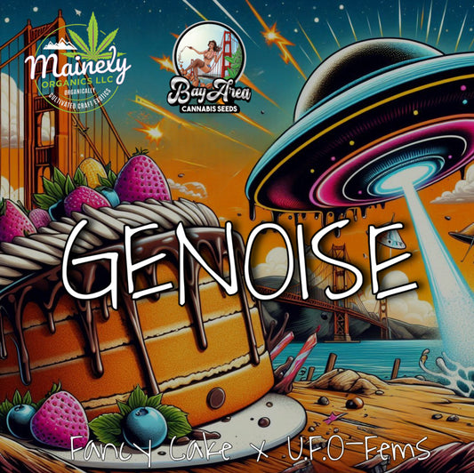 GENOISE (Limited)