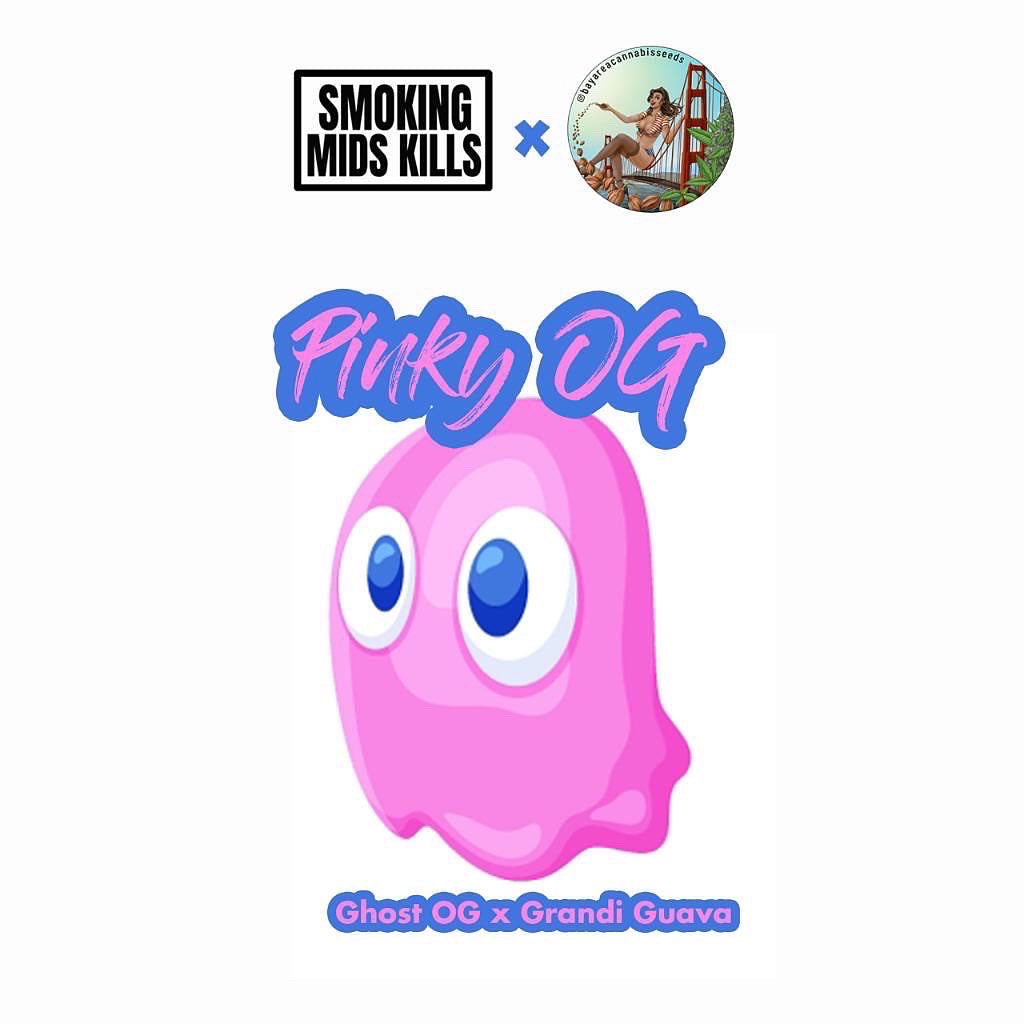 Pinky Og (last pk)