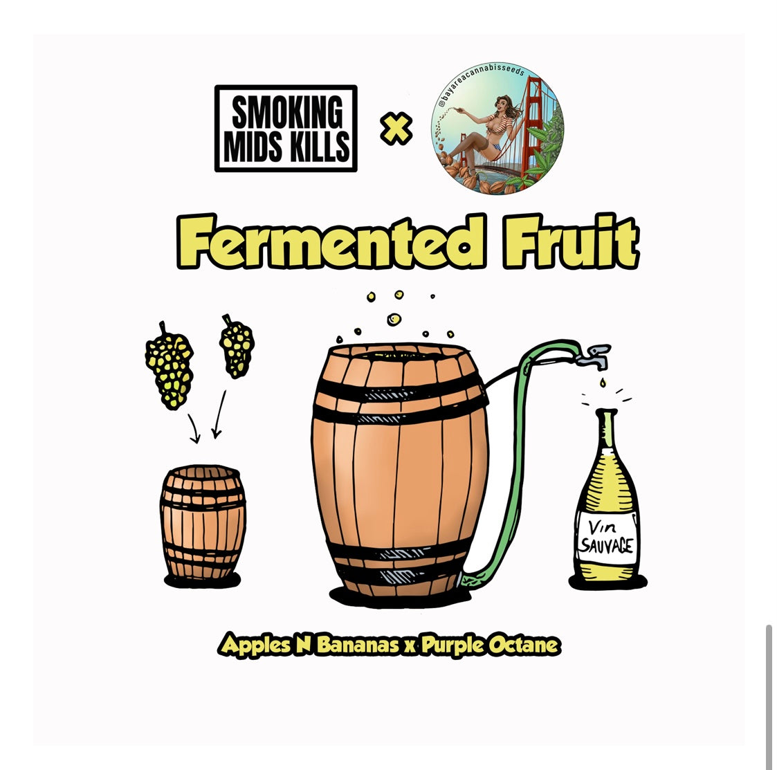 FERMENTED FRUIT (vault pk)