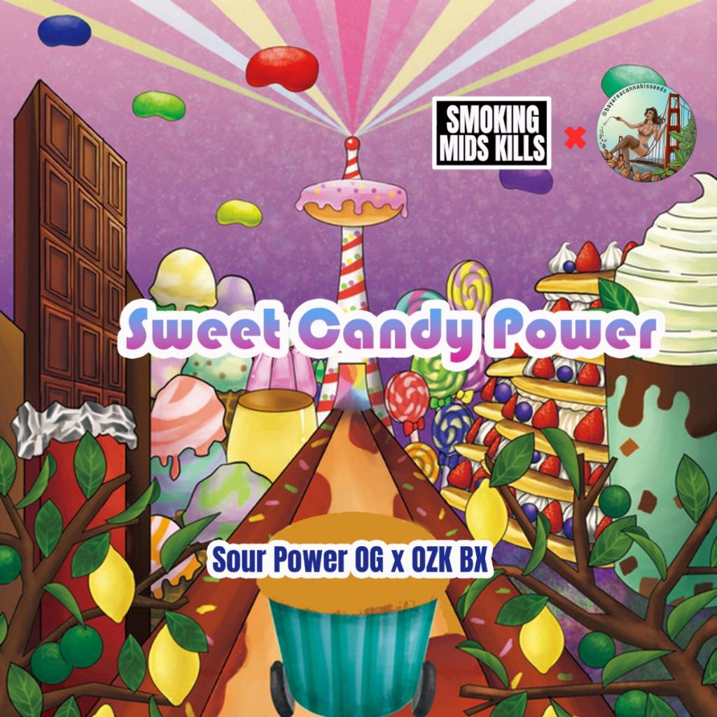 Products – Page 4 – BCS